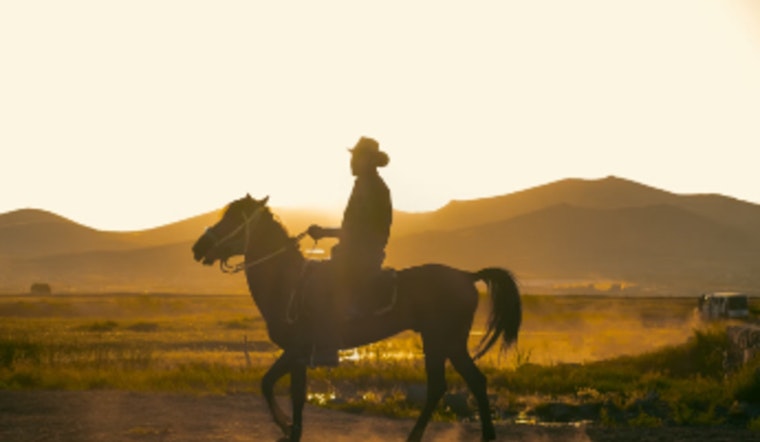 Brazilian Cowboy Sets Out from San Antonio on Epic Mule Trek to Brazil for Cultural Awareness