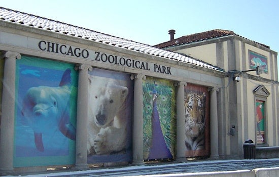 Brookfield Zoo Chicago Launches Groundbreaking Veterinary Database Amid Conservation Efforts