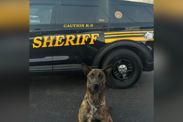 Butler County K9 Kilo Unearths Major Drug Haul in Liberty Township Traffic Stop Suspect Faces Trafficking Charges