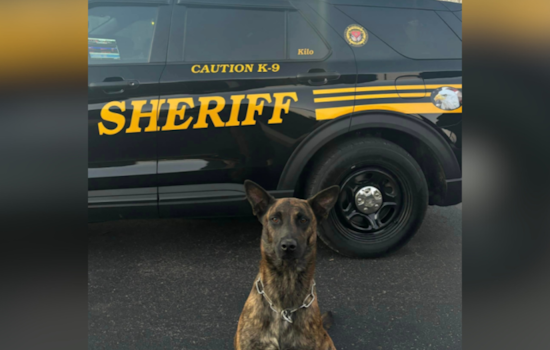 Butler County K9 Kilo Unearths Major Drug Haul in Liberty Township Traffic Stop Suspect Faces Trafficking Charges