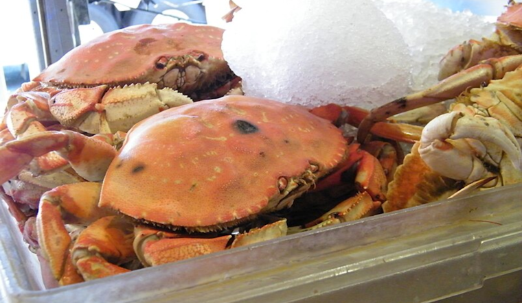 California Delays Commercial Dungeness Crab Season Opening to Safeguard Migrating Humpback Whales