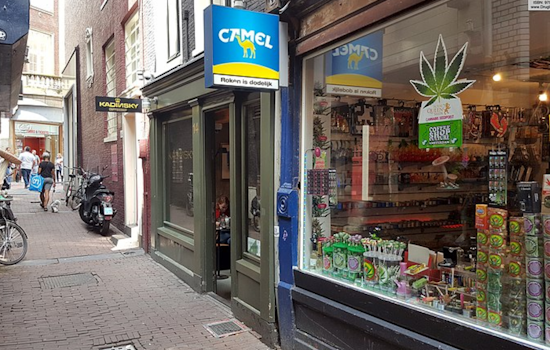 California Legalizes Amsterdam-Style Cannabis Cafes, Eyeing to Revitalize Economy and Combat Illegal Sales