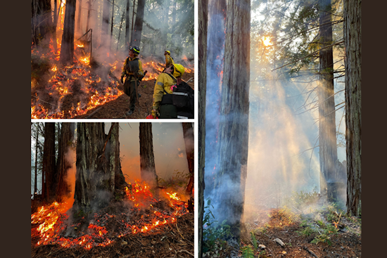 California to Conduct Controlled Burns at Salt Point State Park to Mitigate Wildfire Risks