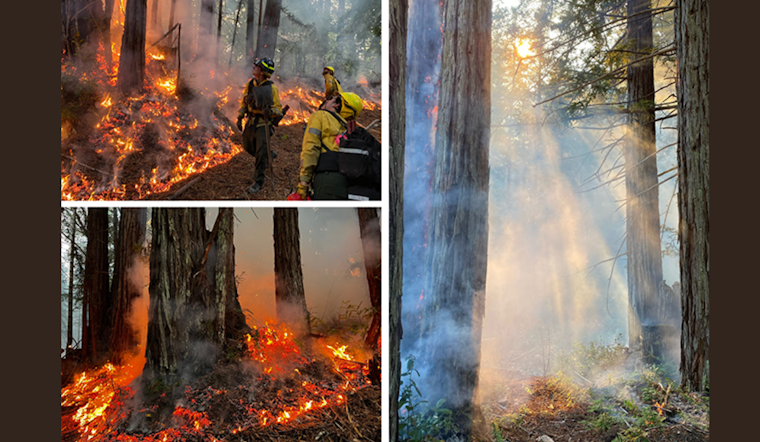 California to Conduct Controlled Burns at Salt Point State Park to Mitigate Wildfire Risks