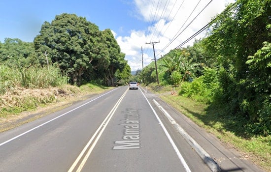 Captain Cook Man Arrested for Terroristic Threatening with BB Gun Near Hookena Elementary School
