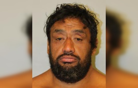 Captain Cook Man Charged With Terroristic Threatening After BB Gun Incident Near Hookena Elementary School