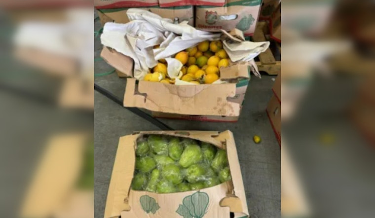 CBP Intercepts Over 14,000 Pounds of Prohibited Fruit at Pharr International Bridge, Preserving U.S. Agricultural Safety