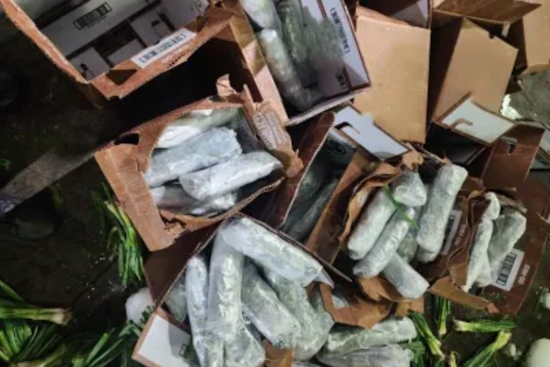 CBP Officers Seize Over 646 Pounds of Meth Worth $775K Hidden in Green Onion Shipment in Calexico