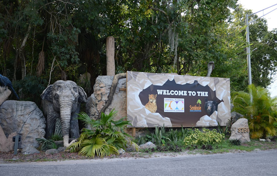 Central Florida Zoo Mourns Loss of Rafiki, Cherished Giraffe, After Chronic Illness Battle