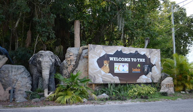 Central Florida Zoo Mourns Loss of Rafiki, Cherished Giraffe, After Chronic Illness Battle