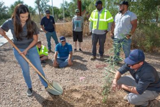 Chandler Celebrates Arbor Day in November with Free Trees and Family-Friendly Activities at Desert Breeze Park