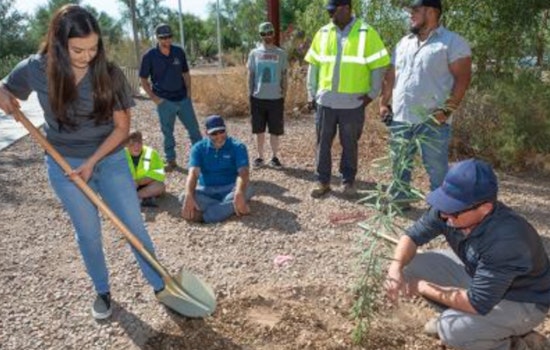 Chandler Celebrates Arbor Day in November with Free Trees and Family-Friendly Activities at Desert Breeze Park
