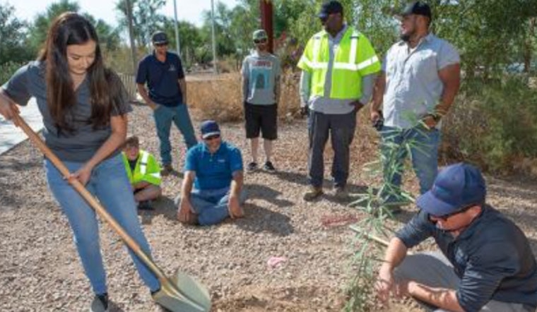 Chandler Celebrates Arbor Day in November with Free Trees and Family-Friendly Activities at Desert Breeze Park