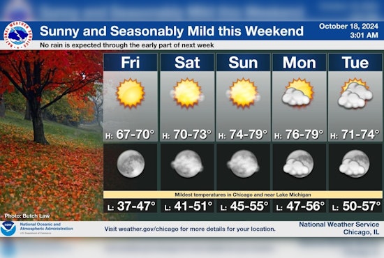 Chicago Basks in Sunny Weekend Weather; Brush Fire Alert for Nearby Regions