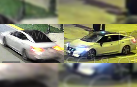 Chicago Community Urged to Aid Police in Hunt for Hit-and-Run Driver Following Fatal Incident on S. Homan Avenue
