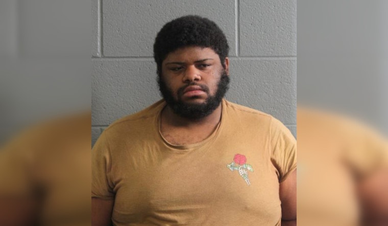 Chicago Man Charged with Armed Robbery on Train, Community Seeks Transit Safety Measures