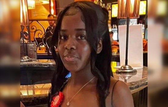 Chicago Police Seek Assistance in Search for Missing Teen Sequoia Robinson