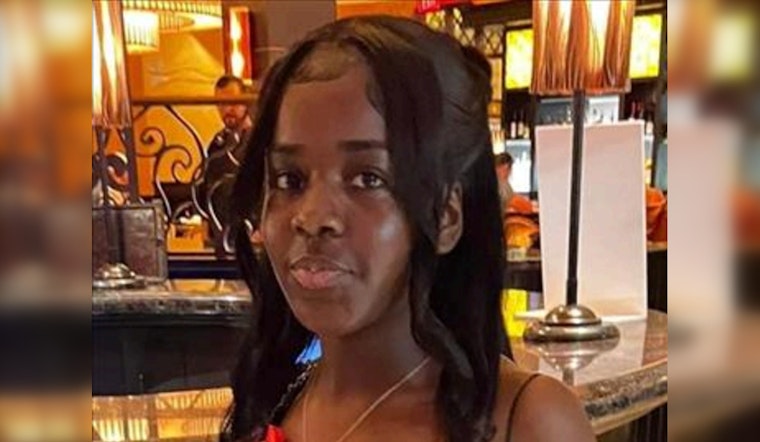 Chicago Police Seek Assistance in Search for Missing Teen Sequoia Robinson