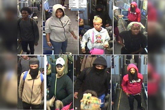 Chicago Police Seek Public Help to Identify Suspects in Violent Red Line Robbery Near 47th St