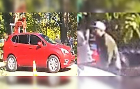 Chicago Police Seek Vehicle and Suspects in Shooting Incident at Hamlin Park That Injured Teen