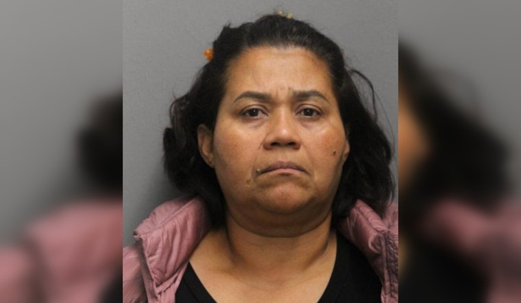 Chicago Woman Charged With Attempted Murder Following South Side Stabbing Incident