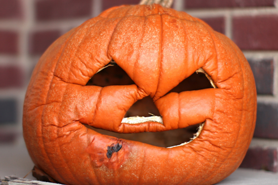 Clark County Public Health Urges Residents to Compost Halloween Pumpkins to Reduce Methane Emissions