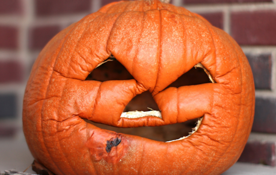 Clark County Public Health Urges Residents to Compost Halloween Pumpkins to Reduce Methane Emissions