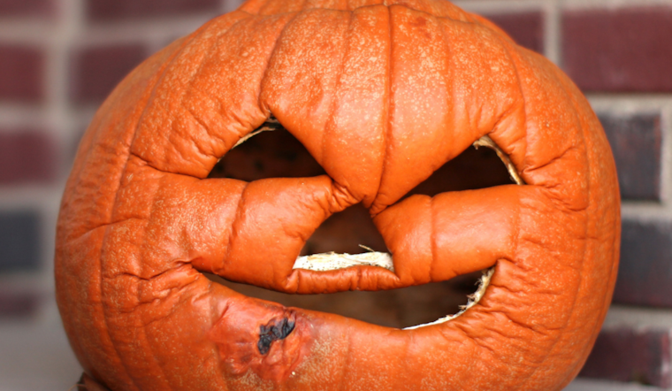 Clark County Public Health Urges Residents to Compost Halloween Pumpkins to Reduce Methane Emissions