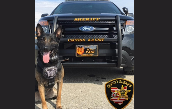Clark County Sheriff's Office Remembers Beloved K-9 Yari, a Heroic Belgian Malinois, After Battle with Cancer