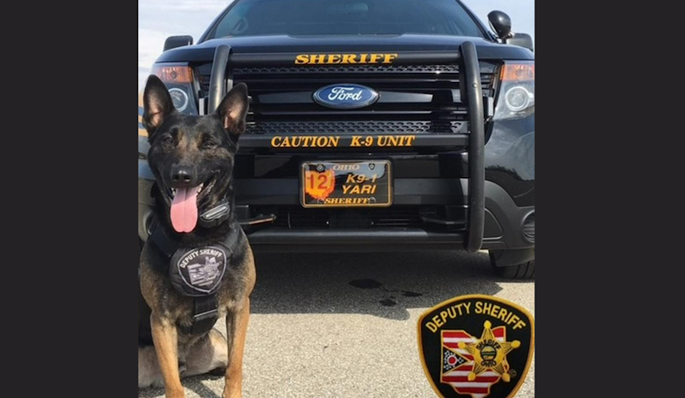 Clark County Sheriff's Office Remembers Beloved K-9 Yari, a Heroic Belgian Malinois, After Battle with Cancer