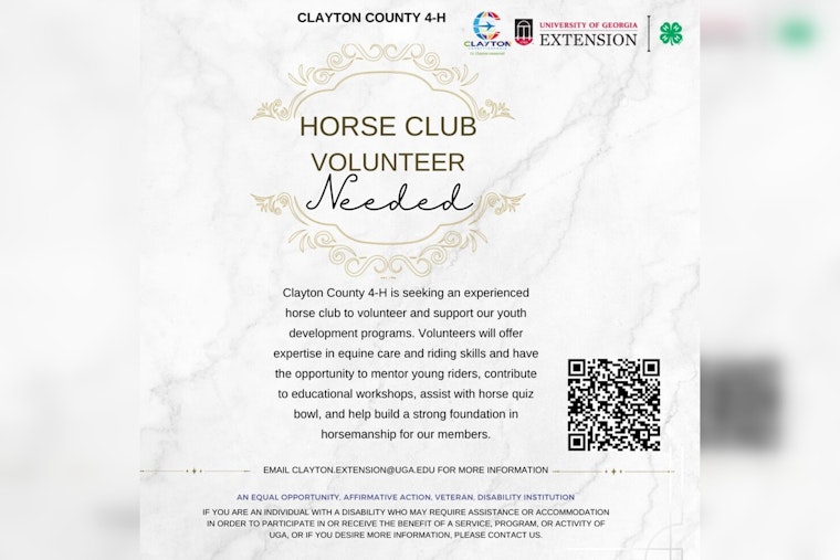 Clayton County Seeks Passionate Volunteers for 4-H Horse Club Mentorship and Educational Roles