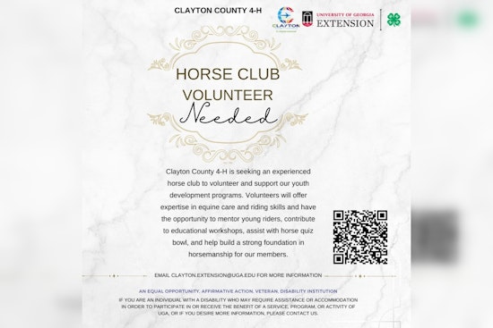 Clayton County Seeks Passionate Volunteers for 4-H Horse Club Mentorship and Educational Roles
