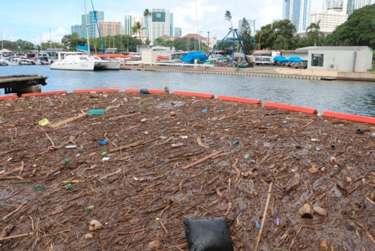 Cleanup Crews and Residents Tackle Waste Deluge at Hawaii's Ala Wai Harbor Amid Urgent Calls for Upstream Solutions