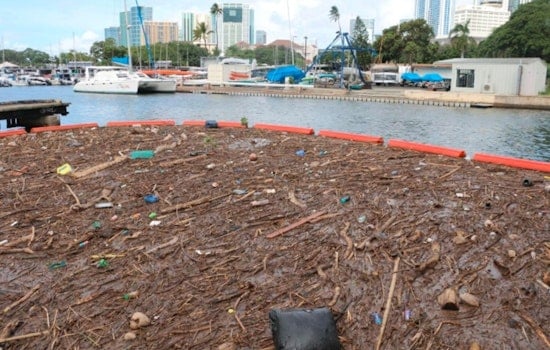Cleanup Crews and Residents Tackle Waste Deluge at Hawaii's Ala Wai Harbor Amid Urgent Calls for Upstream Solutions
