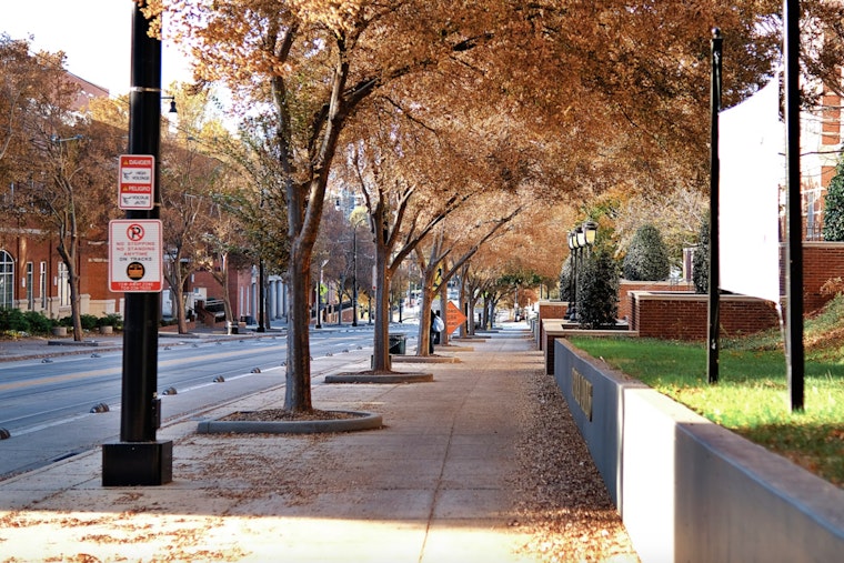 Clear Skies and Mild Fall Temperatures Await Charlotte as Sunny Days Approach