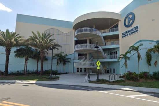 Clearwater Marine Aquarium Reopens with Dazzling Light Festival Post-Hurricane Repairs