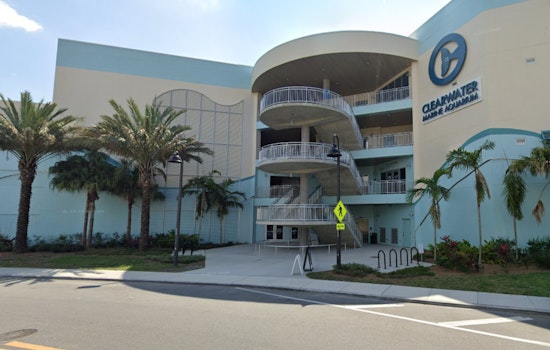 Clearwater Marine Aquarium Reopens with Dazzling Light Festival Post-Hurricane Repairs
