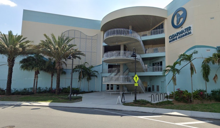 Clearwater Marine Aquarium Reopens with Dazzling Light Festival Post-Hurricane Repairs