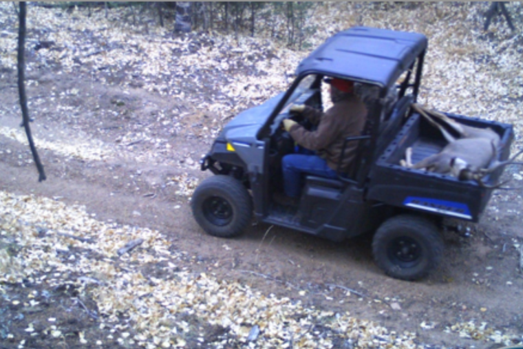 Colorado Wildlife Poachers Face Fines and Probation Following CPW Investigation in Jefferson and Adams Counties