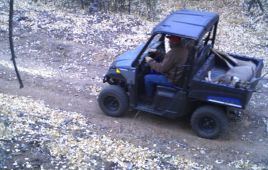 Colorado Wildlife Poachers Face Fines and Probation Following CPW Investigation in Jefferson and Adams Counties