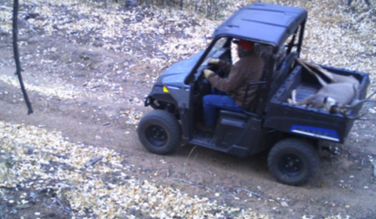 Colorado Wildlife Poachers Face Fines and Probation Following CPW Investigation in Jefferson and Adams Counties