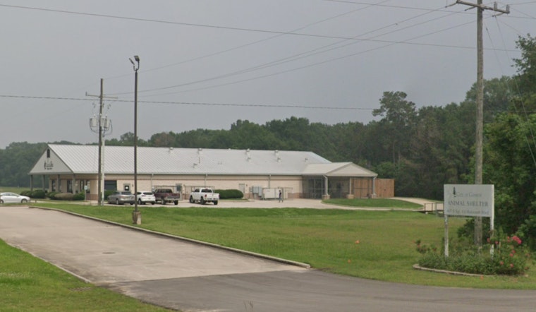 Conroe City Council Decides Against Texas Litter Control Running Animal Shelter Amid Oversight Concerns