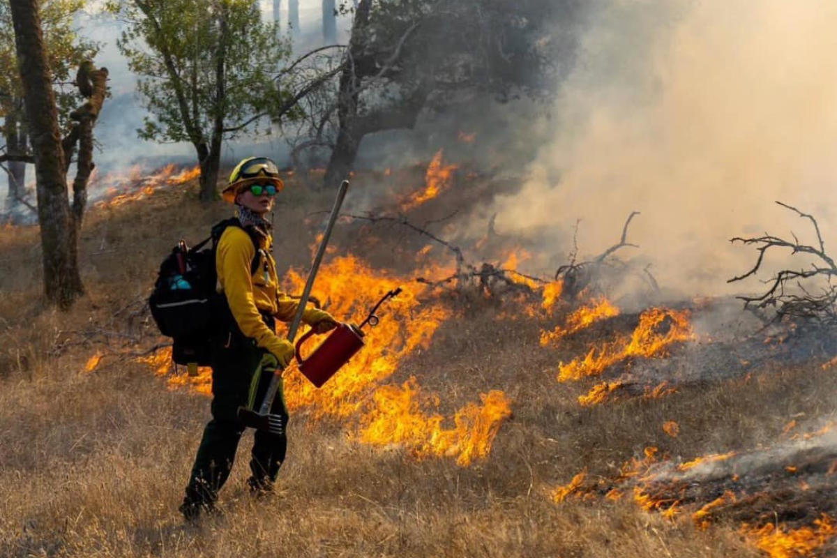 Controlled Burn Scheduled in Monte Rio to Mitigate Wildfire Risks,