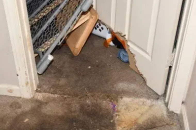 Converse Babysitter Charged After Dog Attack Leaves Toddler Critically Injured, Teen Heroically Intervenes