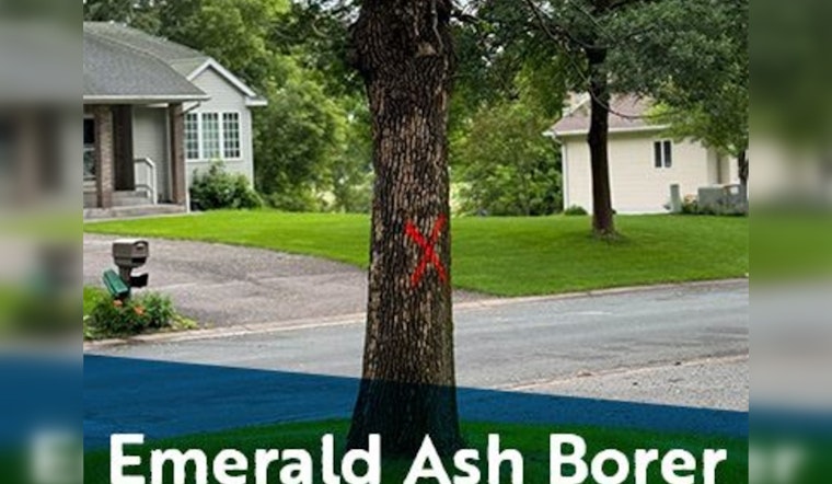 Coon Rapids Calls on Residents to Battle Emerald Ash Borer Infestation