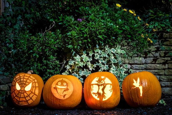 Dakota County Invites Residents to Compost Pumpkins Post-Halloween in Eco-Friendly Initiative