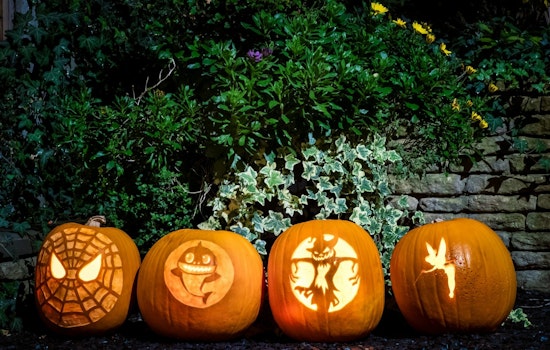 Dakota County Invites Residents to Compost Pumpkins Post-Halloween in Eco-Friendly Initiative