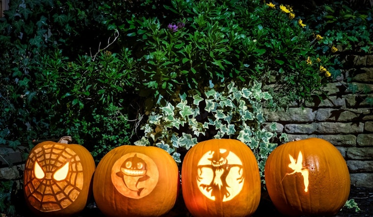 Dakota County Invites Residents to Compost Pumpkins Post-Halloween in Eco-Friendly Initiative