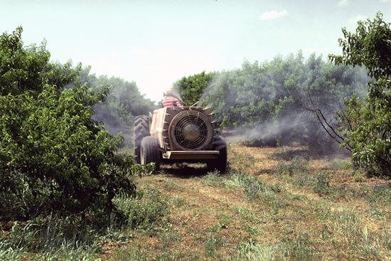 Dallas Initiates Pesticide Spraying in Neighborhoods Amid West Nile Virus Threat
