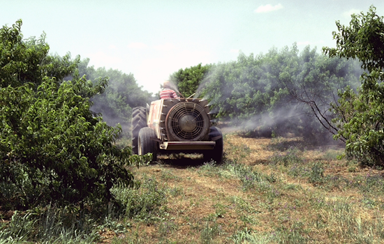 Dallas Initiates Pesticide Spraying in Neighborhoods Amid West Nile Virus Threat